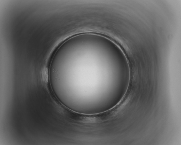 X0000102271509200807251339