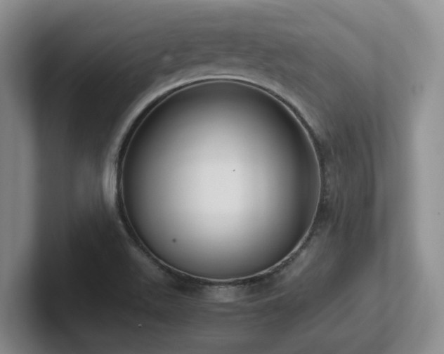 X0000102271511200807251339