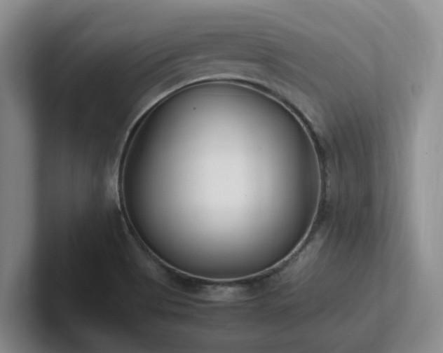 X0000102271513200807251339