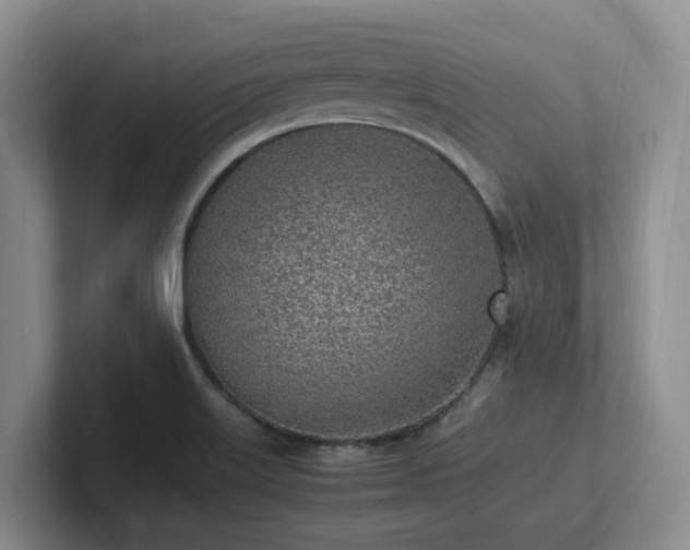 X0000102271515200807251339