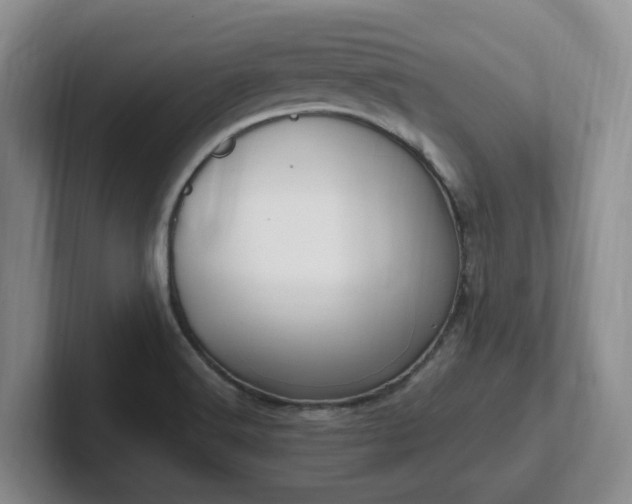 X0000102271516200807251339