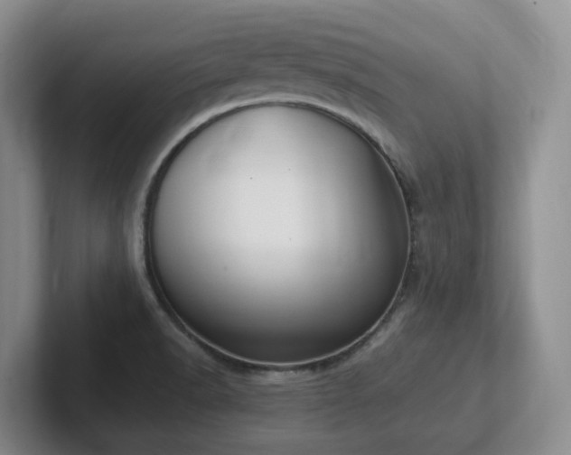 X0000102271518200807251339