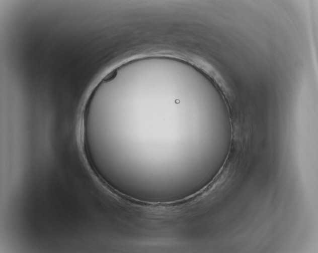 X0000102271520200807251339