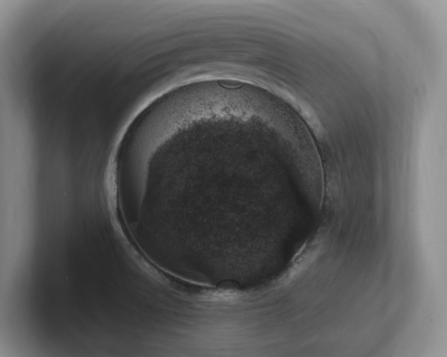 X0000102271522200807251339