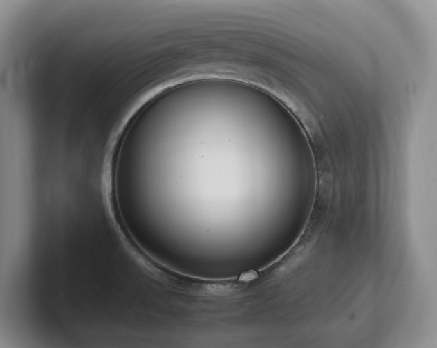 X0000102271523200807251339