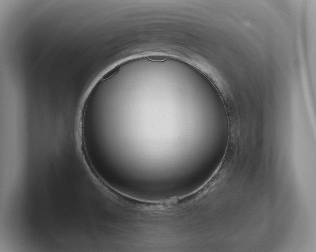 X0000102271524200807251339