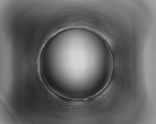 X0000102271525200807251339