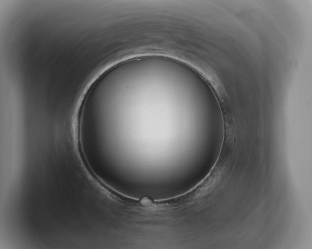 X0000102271527200807251339