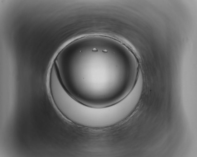 X0000102271528200807251339
