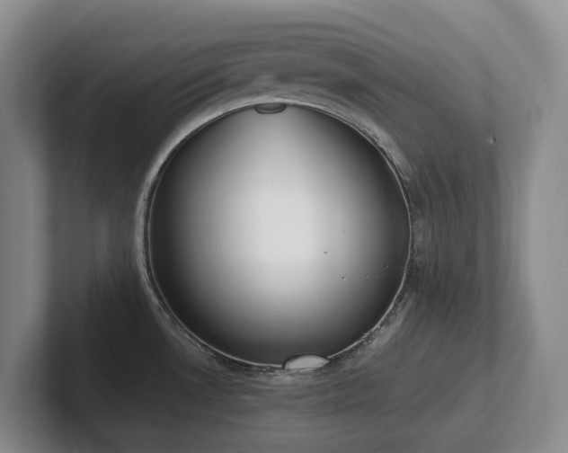X0000102271530200807251339