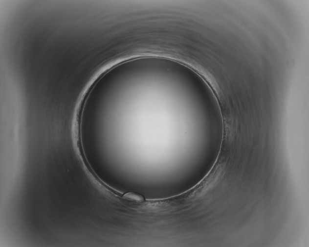 X0000102271531200807251339
