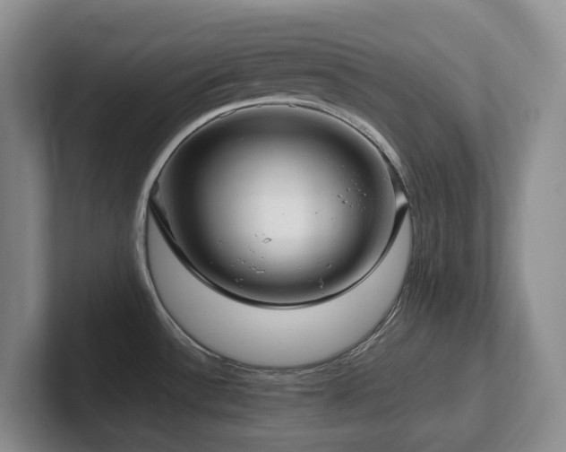X0000102271532200807251339