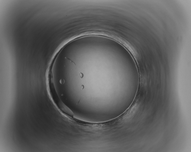 X0000102271533200807251339