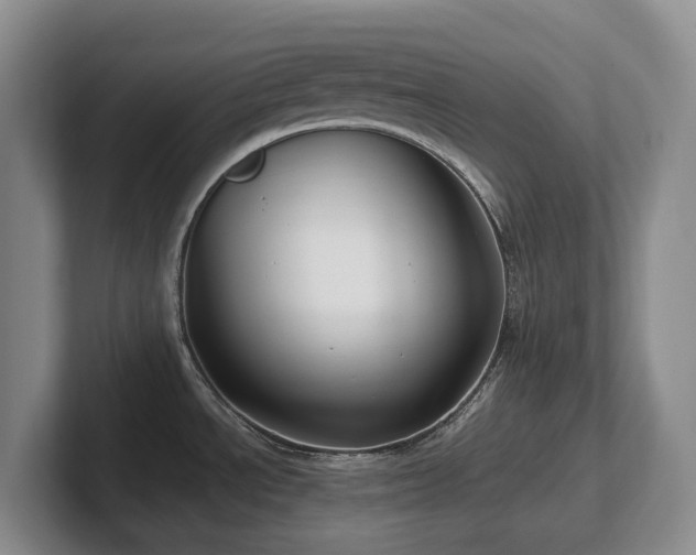 X0000102271534200807251339