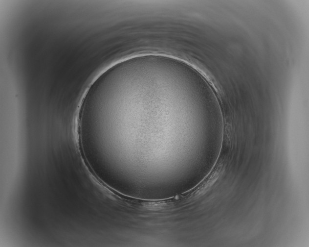 X0000102271535200807251339