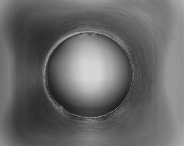 X0000102271536200807251339