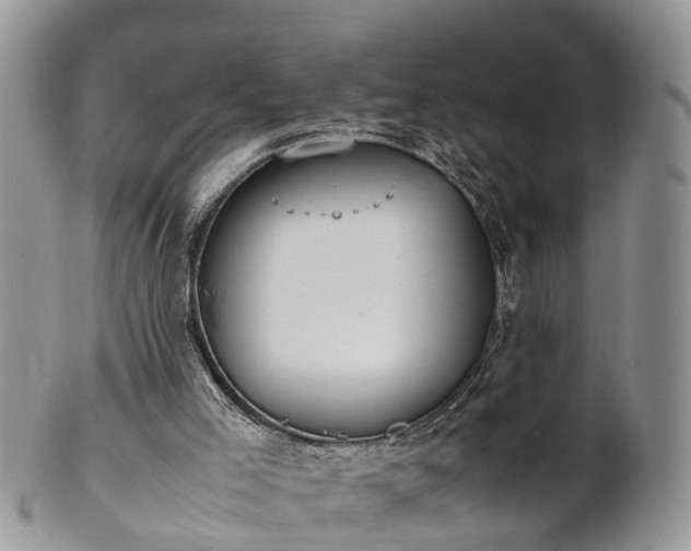 X0000102270005200808011438