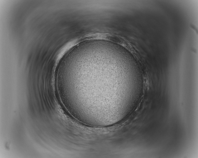 X0000102270006200808011438
