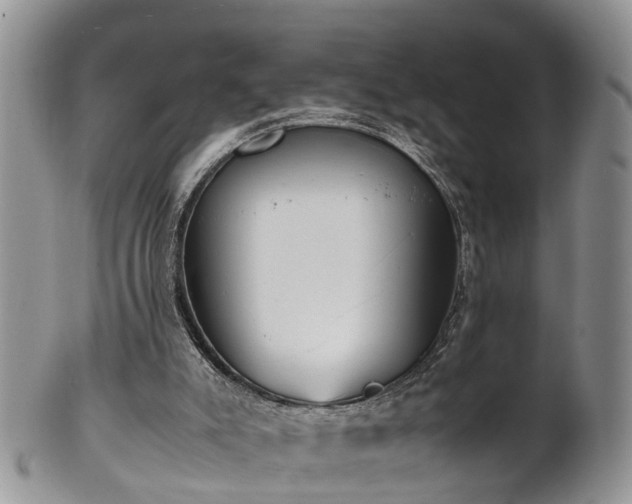 X0000102270007200808011438