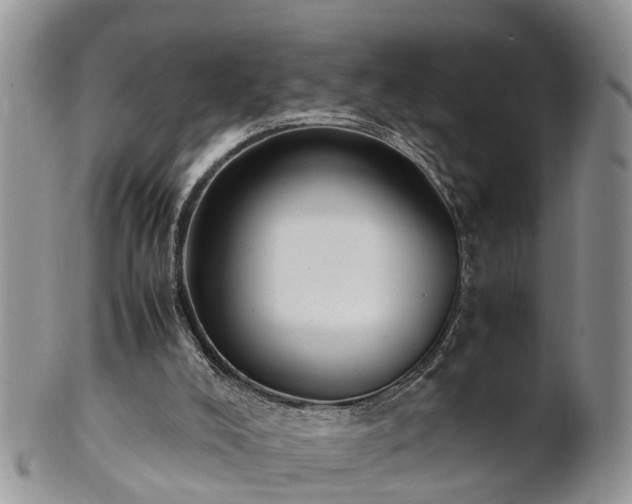 X0000102270008200808011438