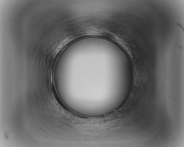X0000102270011200808011438