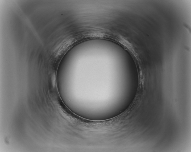 X0000102270013200808011438