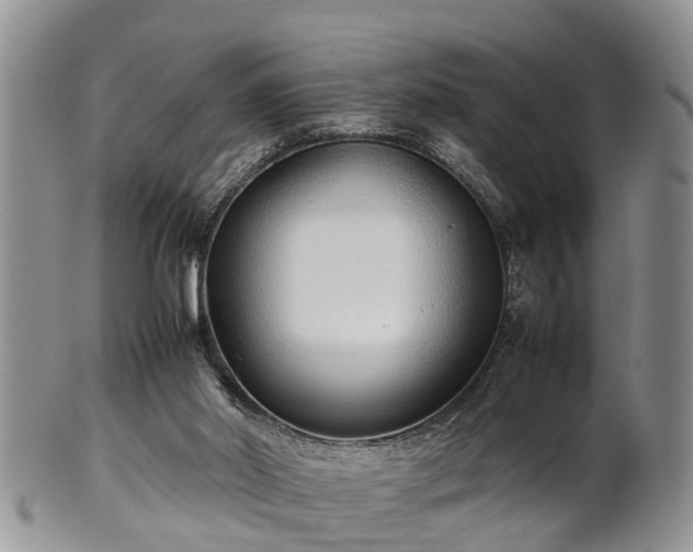 X0000102270014200808011438