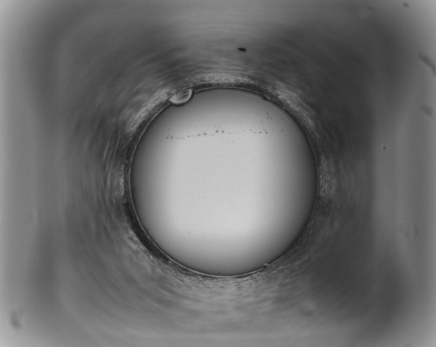 X0000102270015200808011438
