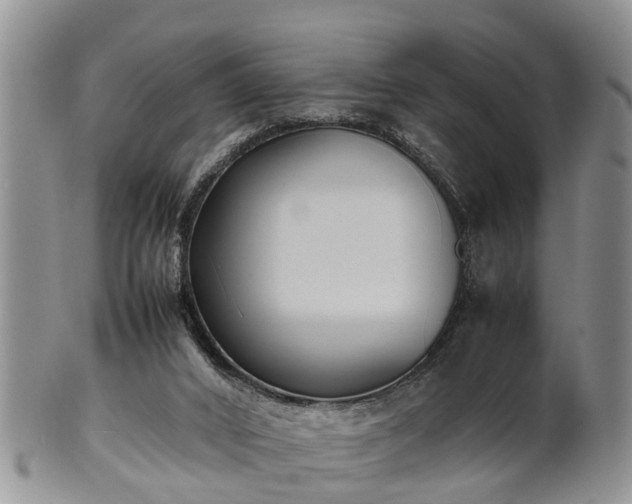 X0000102270016200808011438