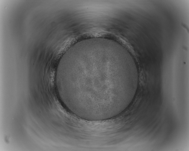 X0000102270018200808011438