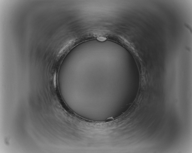 X0000102270019200808011438
