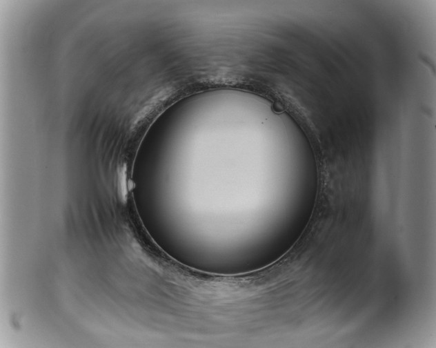X0000102270020200808011438