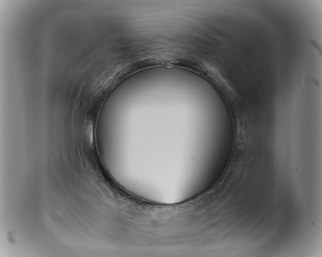 X0000102270021200808011438