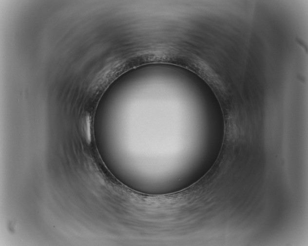 X0000102270022200808011438