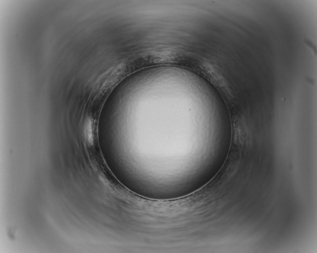 X0000102270026200808011438