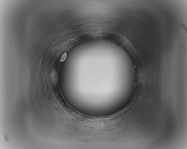X0000102270029200808011438