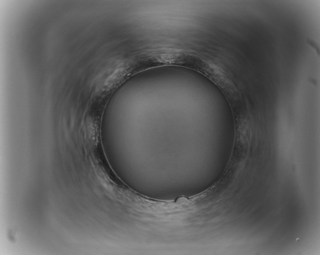 X0000102270031200808011438