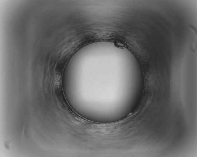 X0000102270033200808011437