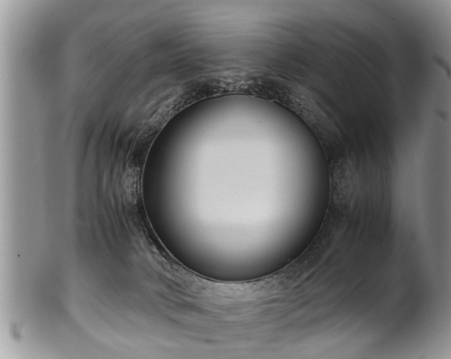 X0000102270034200808011437