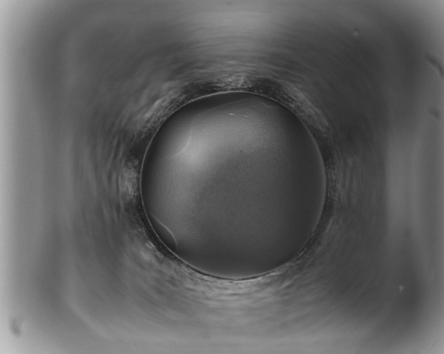 X0000102270035200808011437