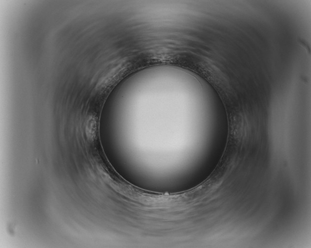 X0000102270036200808011437