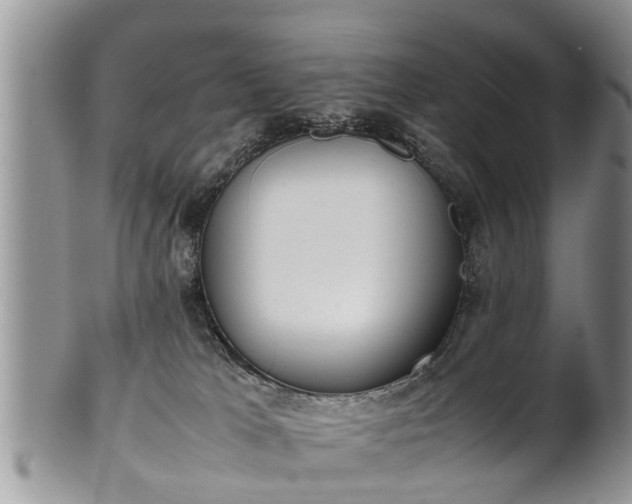 X0000102270037200808011437