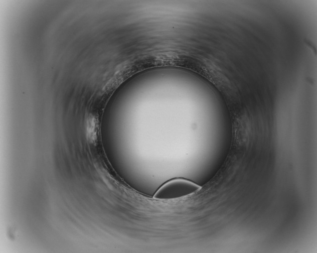 X0000102270038200808011437