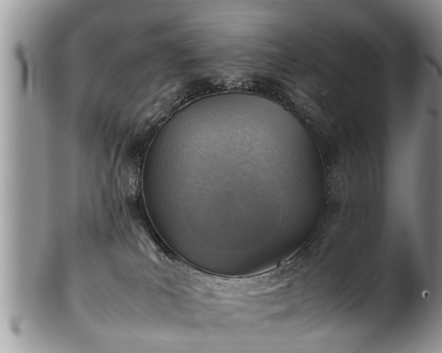 X0000102270039200808011437