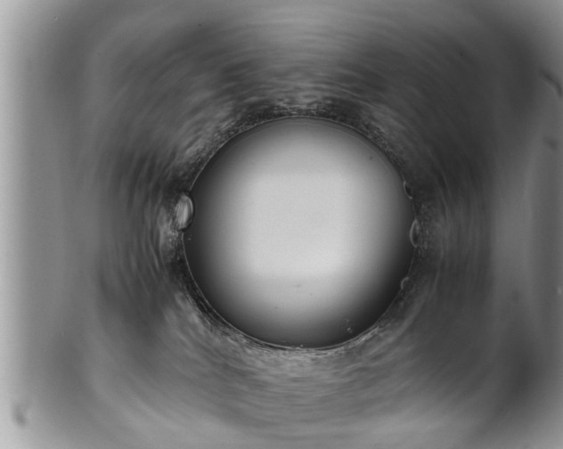 X0000102270040200808011437