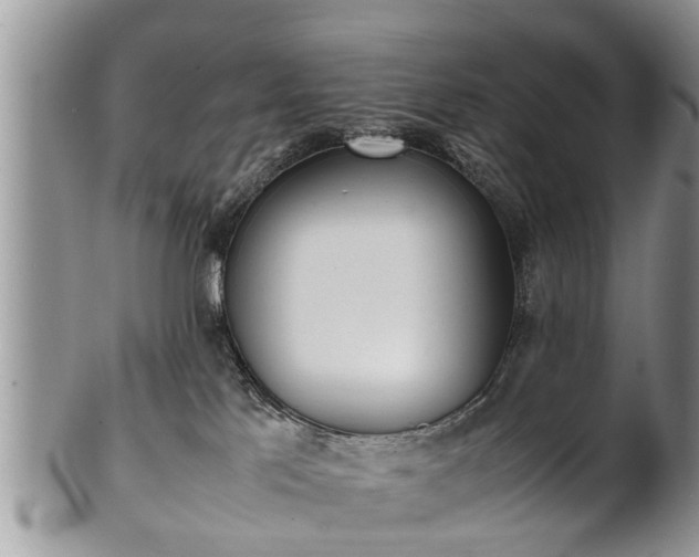 X0000102270041200808011437