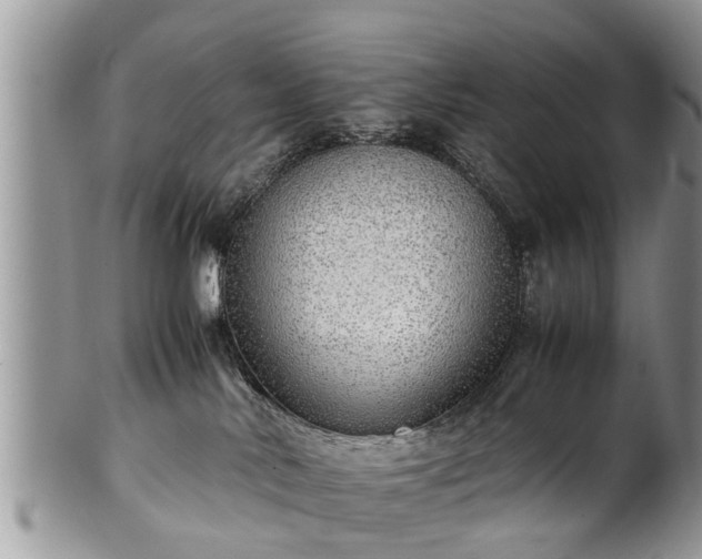 X0000102270042200808011437