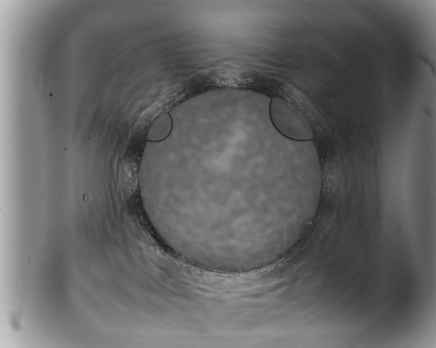 X0000102270043200808011437