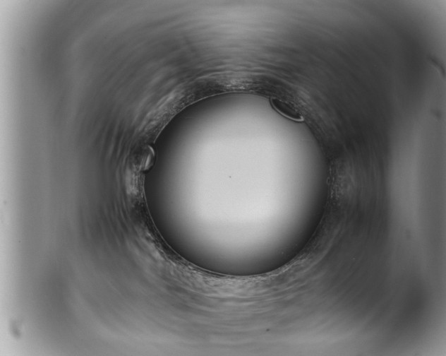 X0000102270044200808011437