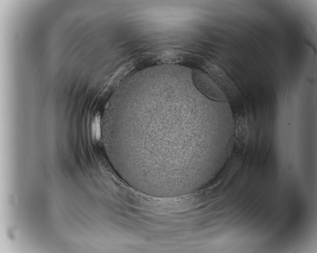 X0000102270046200808011437